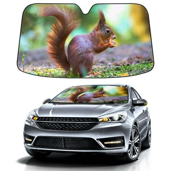 Car Windshield Sun Shade For Front Window Squirrel Nature Animal Foldable Vehicle Windshield Car Sun Visor Covers Automotive Window Protector Car Camping Privacy Sun Blocker