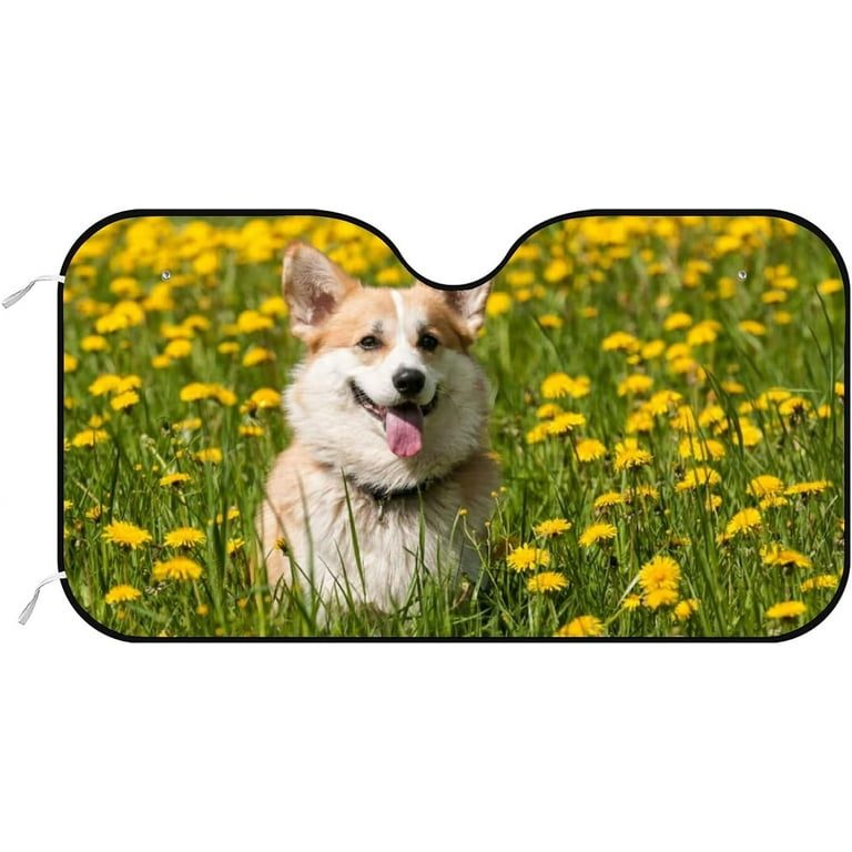 Corgi sunshade top