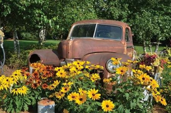 Car and Flowers Canvas Art - Lynn Garwood (24 x 36)