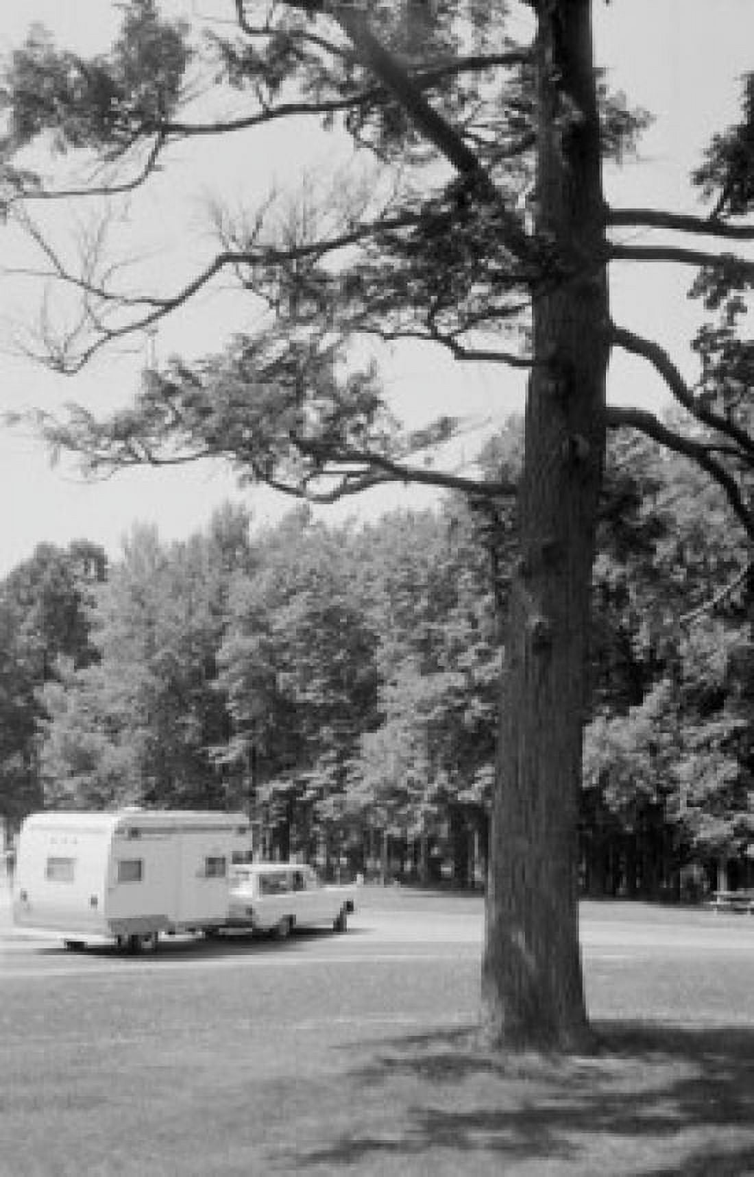 Car and trailer in parkland Canvas Art - (18 x 24)