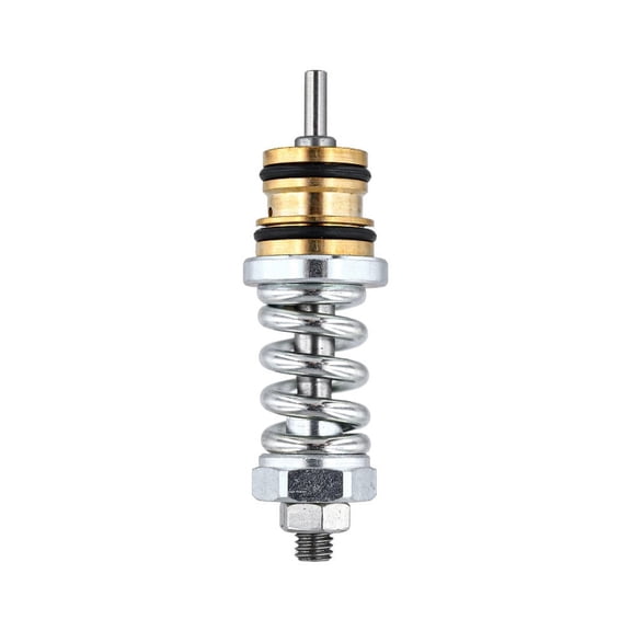 CaraMart 310924003 Unloader Valve Kit For Homelite High Pressure Washer Pumps Garden Power Tools Accessories For Home Garden