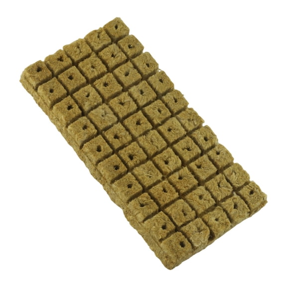 CaraMart 50 Pieces Grow Media Cloning Cubes for Plant Growth Porous Lightweight Starter Medium with Good Water Absorption and Drainage