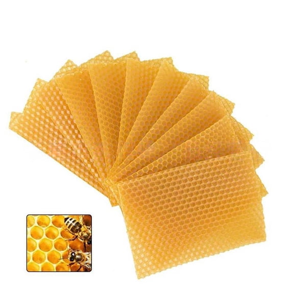 CaraMart For Beeswax Sheets 133x90mm for Candle Making and For Bee Frame Foundation