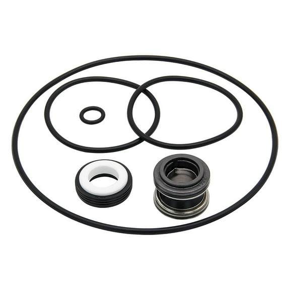CaraMart For Flo-Master Series XP2 Pump Seal Pool Pump Repair Kit Pump Repair Pool Maintenance Quality Tested Reliable Performance