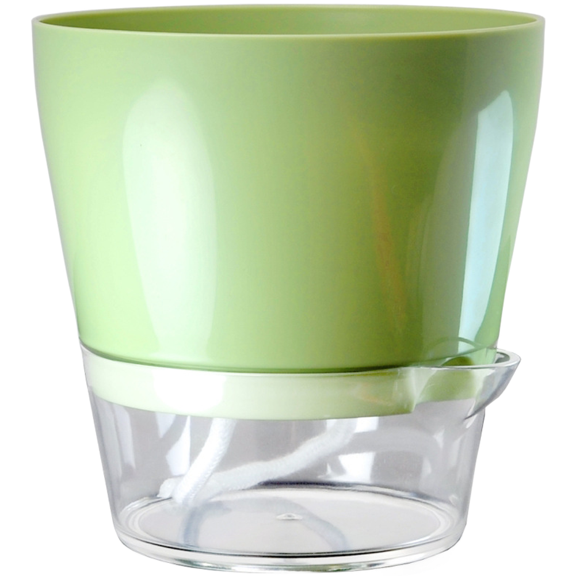 CaraMart Macaron Transparent Self Watering Plastic Flower Container for Pothos Chinese