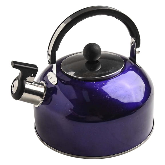 CaraMart Stainless Steel 5L Kettle with Whistle Annular Bottom Curved Handle 22.7cm Base