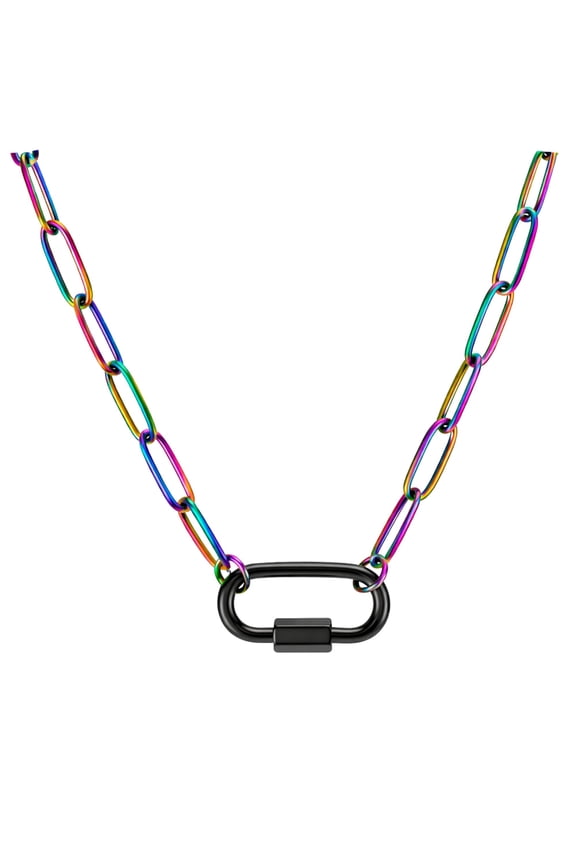 Carabiner Charm Holder Necklace for Women by Ginger Lyne Paperclip Chain Rainbow Stainless Steel 18-20"
