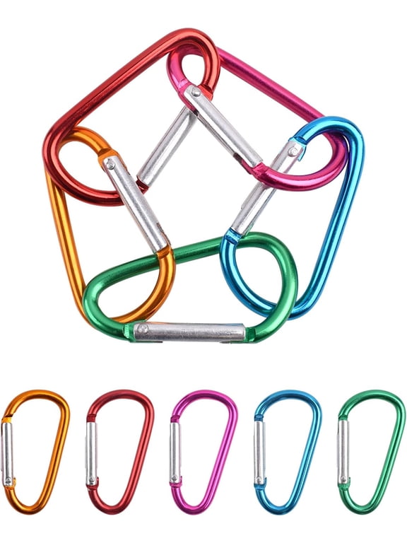 Carabiner Clip, Small Carabiner Clips with 5 Colors, Durable D Type Caribena as Keyring Clip Carabiner Keyring Key Clip for Camping Hiking Travel Fishing Pet Cage 10pcs