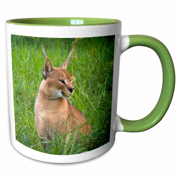 3drose, Caracal, Emdonemi Cat Rehab, Hluhulwe, South Africa - Na02 Mpr0106 - Maresa Pryor, 11oz Two-tone Green Mug