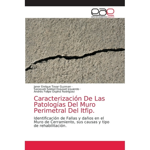 Caracterización De Las Patologías Del Muro Perimetral Del Itfip. (Paperback)