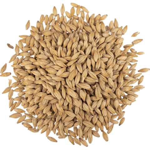 Caramel / Crystal Malt 15L for Brewing Light Crystal Malted Barley for Beer Making, Home Brewing & Specialty Grain Recipes (C15) 1 lb Whole Grain