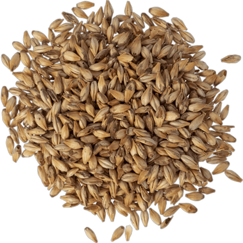 Caramel Crystal Malt 30L for Brewing Crystal Malted Barley for Beer Making, Home Brewing & Specialty Grain Recipes (C30) 1 lb - CRUSHED (Pre-Milled)