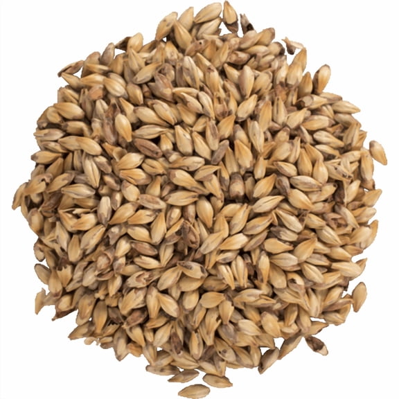 Caramel Crystal Malt 60L for Brewing Crystal Malted Barley for Beer Making, Home Brewing & Specialty Grain Recipes (C60) 1 lb Whole Grain