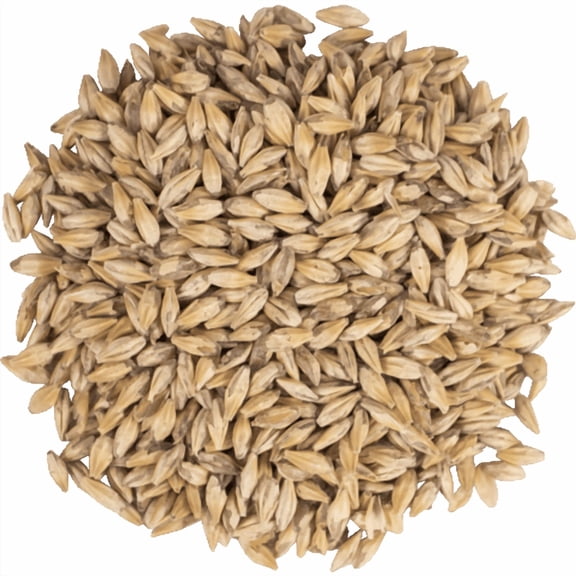 Carapils Dextrin Malt for Brewing – Specialty Malted Barley for Beer Making, Home Brewing & Body Retention – 1 lb - CRUSHED (Pre-Milled)