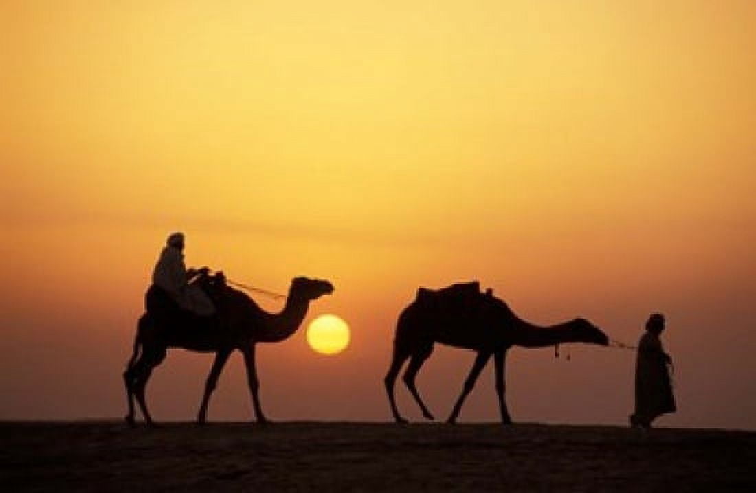 Caravan Morocco Canvas Art - Panoramic Images (19 x 12)