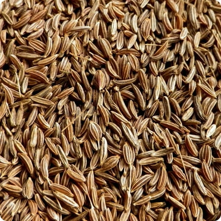 Caraway Seeds, Herb, 500 Seeds, Non GMO, You Can Use Seeds, Plant and Roots on This Herb