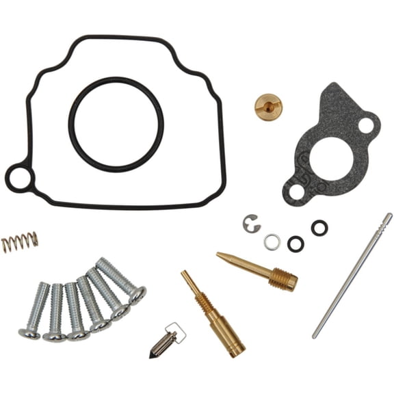 Carb Repair Kit