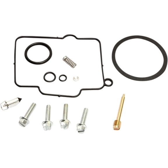 Carb Repair Kit