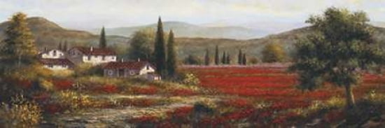 Carballo Canvas Art - Sambataro (12 x 36)