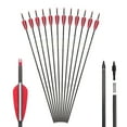 thumbnail image 1 of Carbon Arrow 29 Inch 12-Pack Hunting Arrows Spine 400 for 30-65lb Bows Archery Compound & Recurve & Traditional Bow, 1 of 7