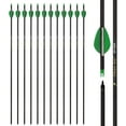 Carbon Arrow 29 inch 12Pack Hunting Arrows Spine 400 for 3065lb Bows