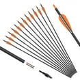 thumbnail image 1 of Carbon Arrow Practice 31 Inch Hunting Arrows Spine 400 with Removable Tips for Archery Compound & Recurve & Traditional Bow (12 Pcs), 1 of 6