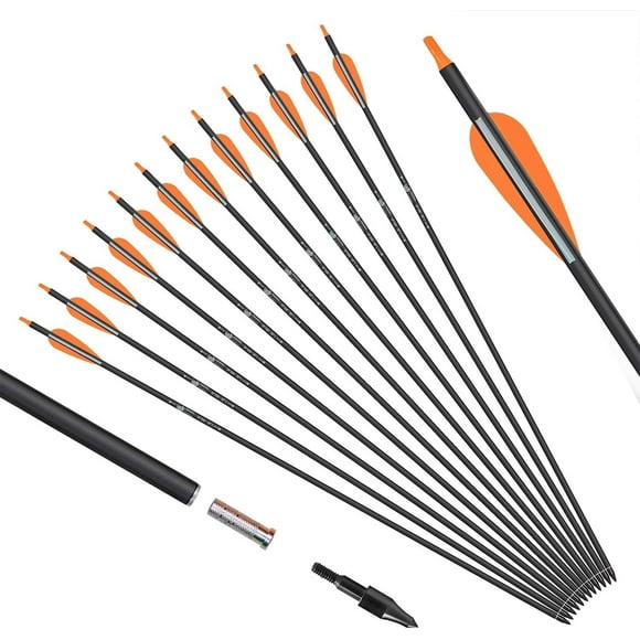 Carbon Arrow Practice 31 Inch Hunting Arrows Spine 400 with Removable Tips for Archery Compound & Recurve & Traditional Bow (12 Pcs)