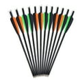 thumbnail image 1 of Carbon Crossbow Bolts 20 inch Hunting Archery Arrows with Vanes Moon Nocks and Removable Tips12 Pack, 1 of 6