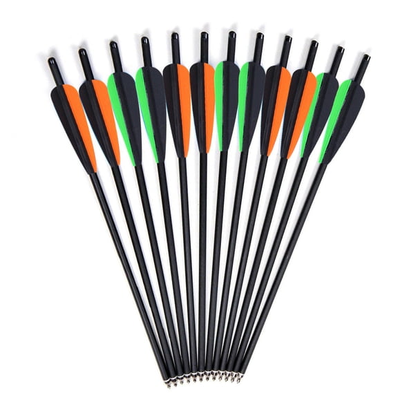 Carbon Crossbow Bolts 20 inch Hunting Archery Arrows with Vanes Moon Nocks and Removable Tips12 Pack