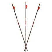 Carbon Express D-Stroyer MX Hunter Arrows 6-Pack - .400
