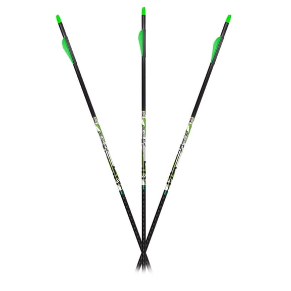 Carbon Express D-Stroyer PileDRIVER 400, 6-Pack Fletched