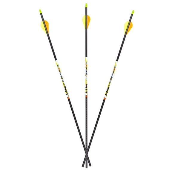 Carbon Express D-Stroyer SD 350, 6-Pack Fletched