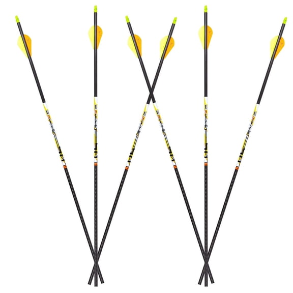 Carbon Express D-Stroyer Small Diameter Arrows - .350 Fletched 6-Pack