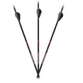 thumbnail image 1 of Carbon Express Maxima Sable RZ Selects Shafts 12-Pack - .350, 1 of 2