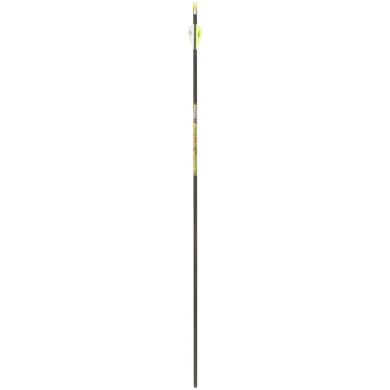 Sports That Involve Archery: Unleash Your Inner Robin Hood
