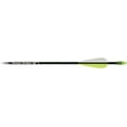 thumbnail image 1 of Carbon Express Thunder Express Arrows, 1 of 1