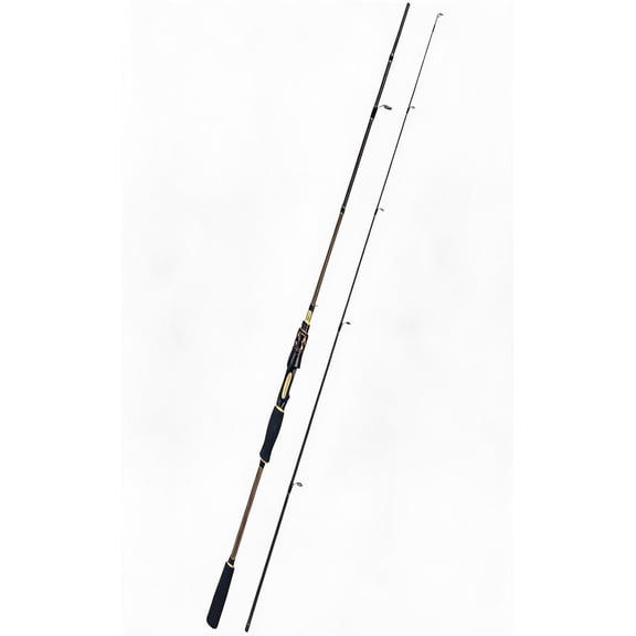 Carbon Fiber Fishing Rod 6 to 12 Feet Spinning and Casting Fast Action with Stainless Steel Ceramic Guides