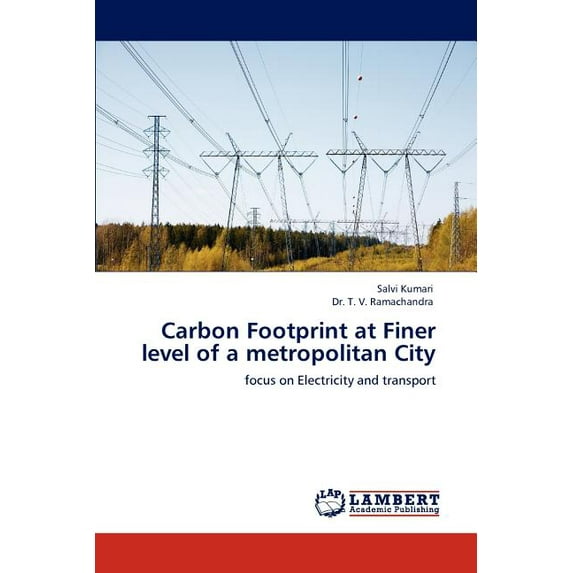 Carbon Footprint at Finer Level of a Metropolitan City (Paperback)