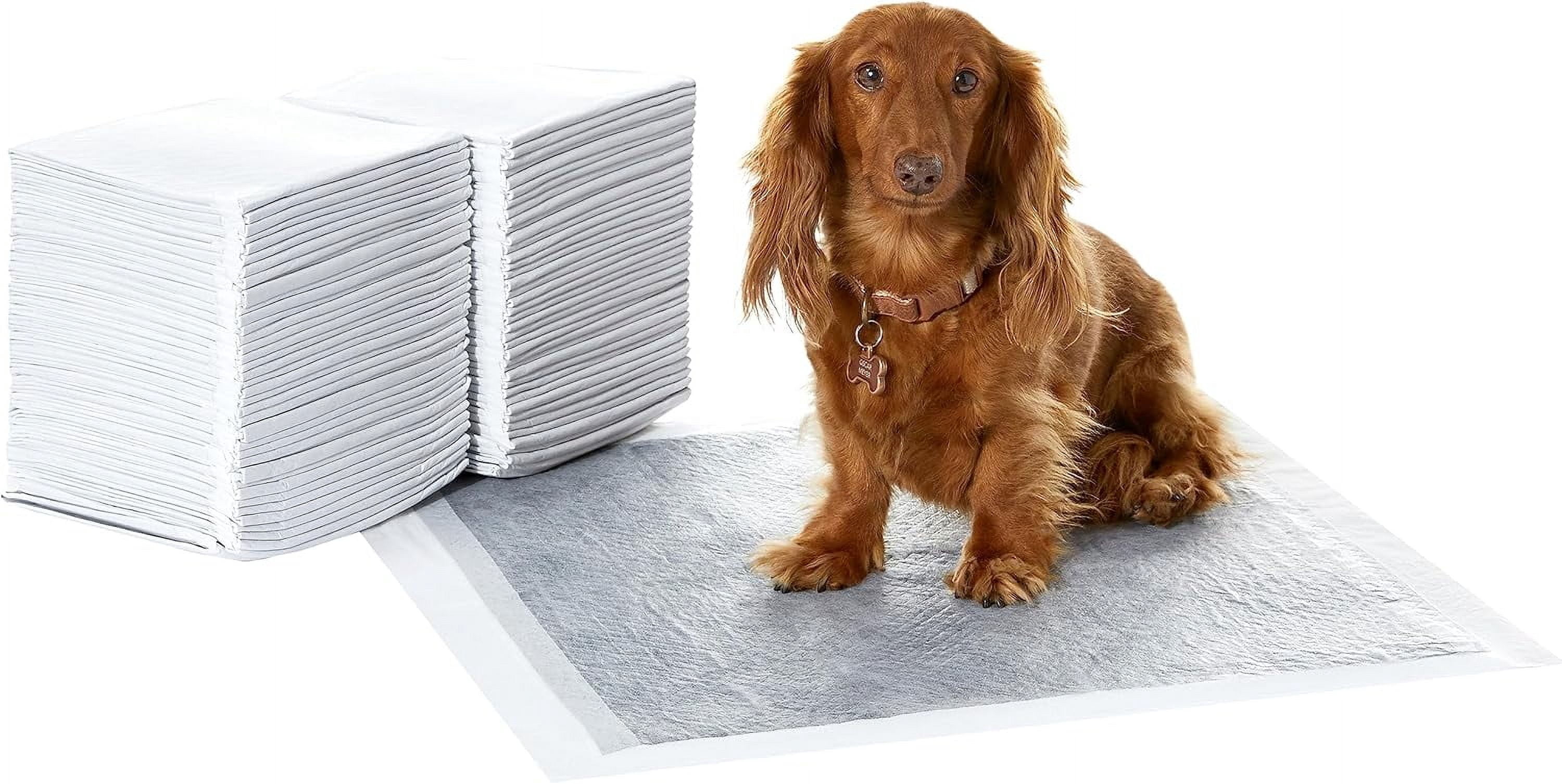 Carbon Odor Control Dog and Puppy Pee Pads, 5-Layer Leak-Proof Super Absorbent, Quick-Dry Surface for Potty Training, Regular Size 22"x22", Gray, 120 Count