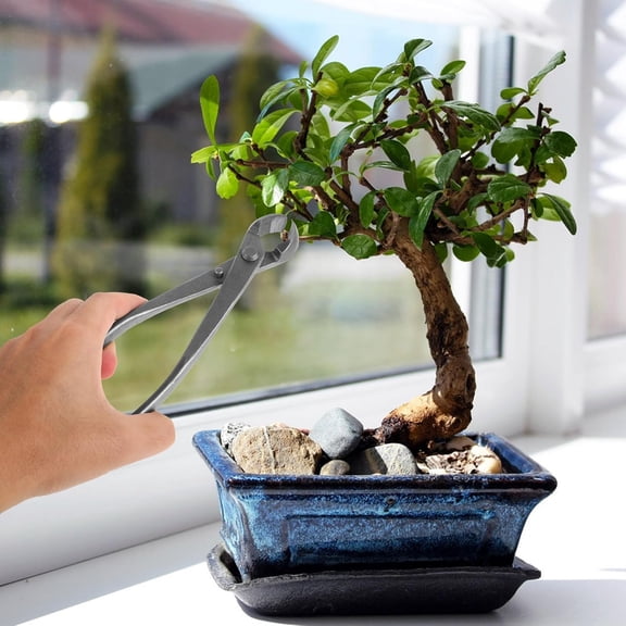 Carbon Steel Bonsai Clippers with Concave Blades for Precision Tree Trimming and Palm Tree Pruner Tool, 1pcs Garden Hand Tool for Bonsai Shaping and  Cutting