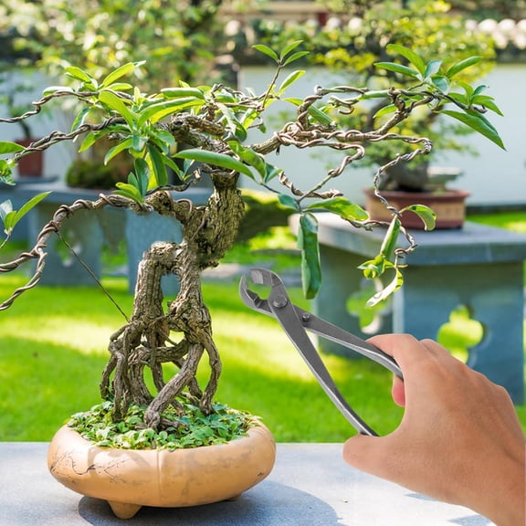 Carbon Steel Bonsai Shears and Trunk Splitter for Tree  Trimming, Garden Pruning Tool with Bypass Cutter, Suitable for Detailed Bonsai Shaping and Plant Care