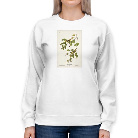Carbonated Warbler Sweatshirt Women -John James Audubon Designs, Female Medium