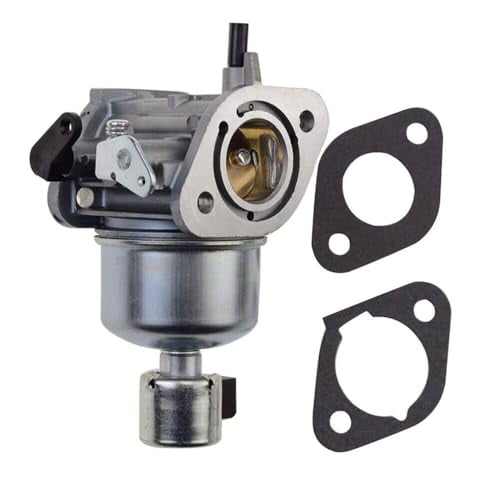 Carburetor Assembly for FH491V-DS04-R Engine - Easy Installation