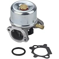 Carburetor Kit with Gasket Rubber Ring for 694202 693909 692648 499617 498170 497586 498254 497314 497347 497410 799872 790821 498255 498966 698444 Smooth Start & Stable Idle