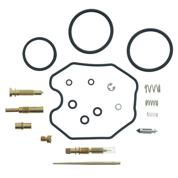 Carburetor Repair Carb Kit for Honda Sportrax 250 TRX250EX 2001-2005 Race-Driven