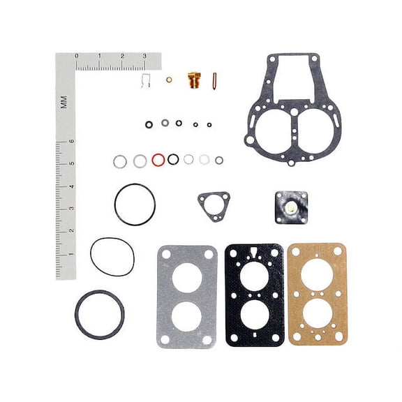 Carburetor Repair Kit - Compatible with 1964 - 1974 Jaguar XKE 1965 1966 1967 1968 1969 1970 1971 1972 1973