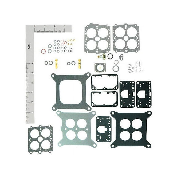 Carburetor Repair Kit - Compatible with 1968 - 1978 Ford F-250 1969 1970 1971 1972 1973 1974 1975 1976 1977