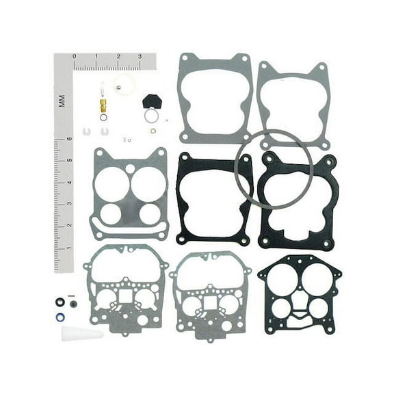 Carburetor Repair Kit - Compatible with 1969 - 1972 Chevy C10 Pickup 1970 1971