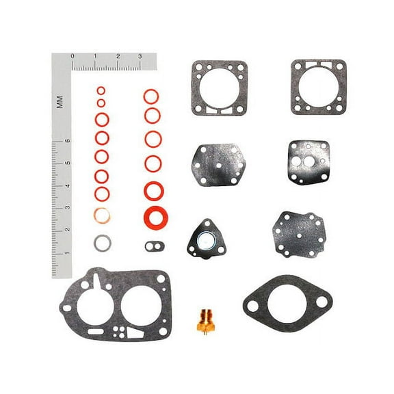 Carburetor Repair Kit - Compatible with 1970 - 1979 Peugeot 504 1971 1972 1973 1974 1975 1976 1977 1978