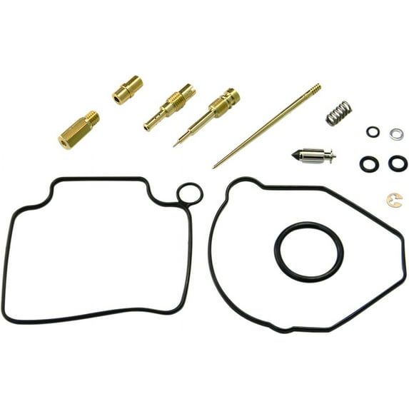 Carburetor Repair Kit